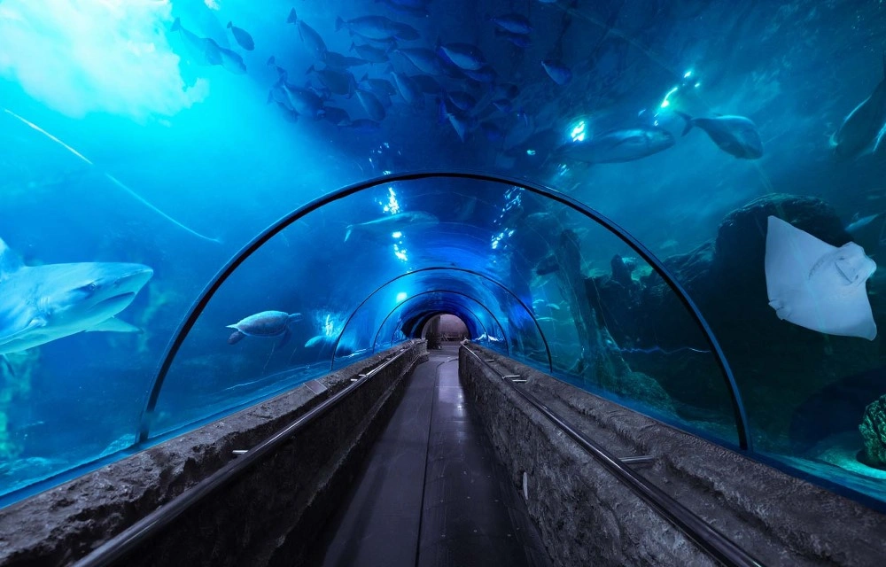 Sea World Ancol in Jakarta Pictures